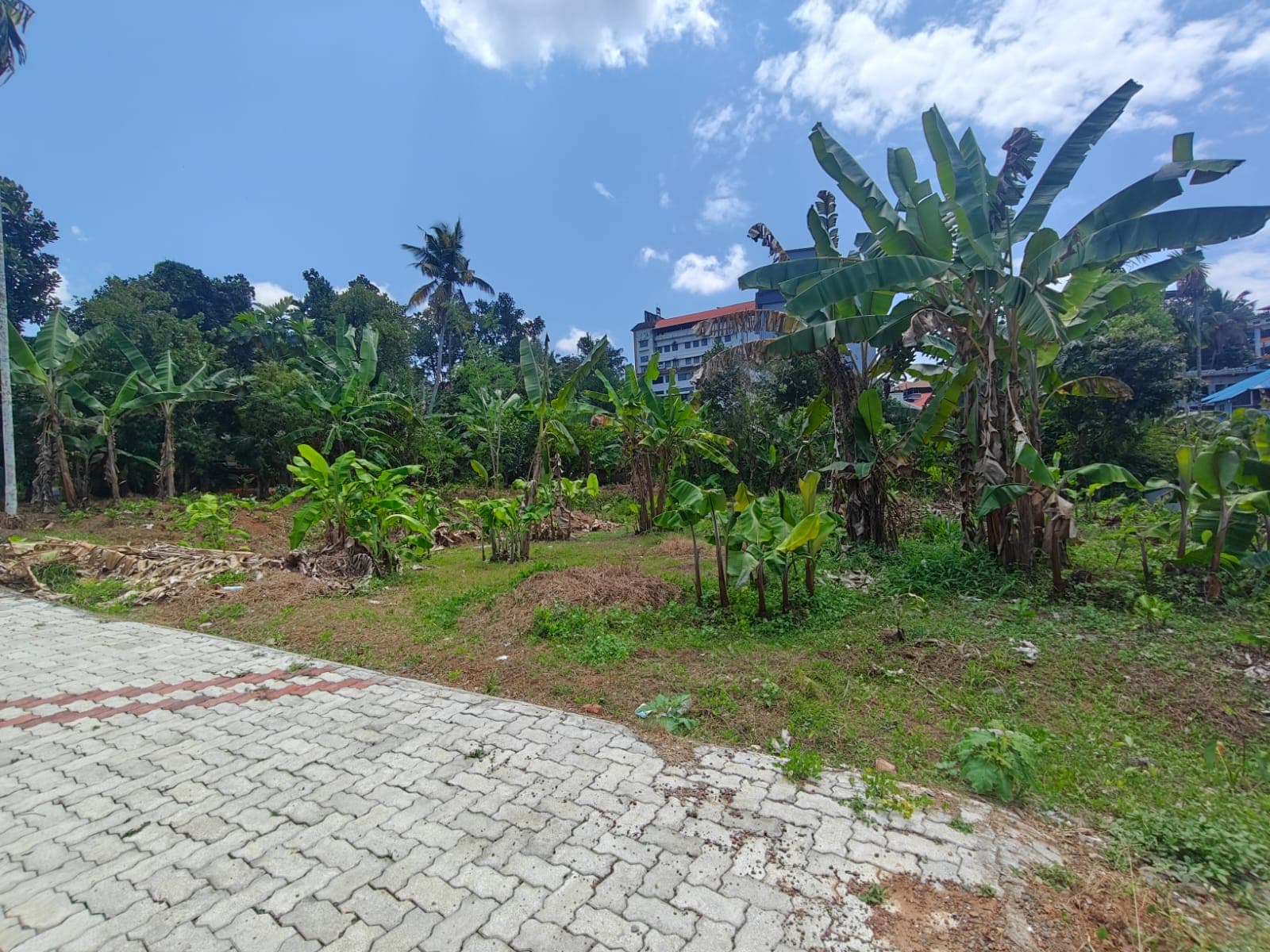 Kakkanad Jino Bar Land Parcels — view 3