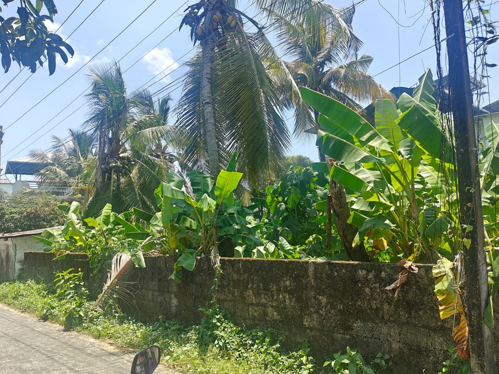 Padamughal Eastern Villa 8 Cent Land — view 3